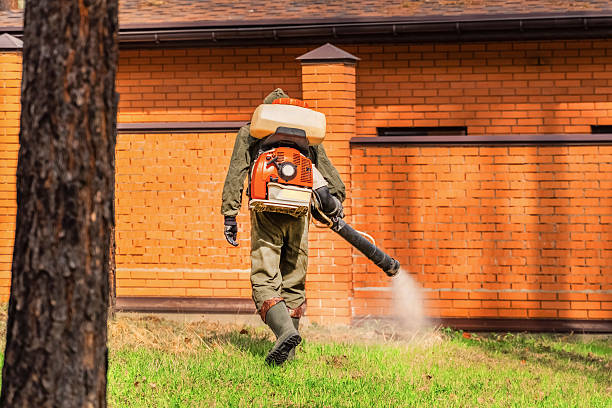 Trusted Ant Control service in Mount Pocono, PA - Nex Pest Control